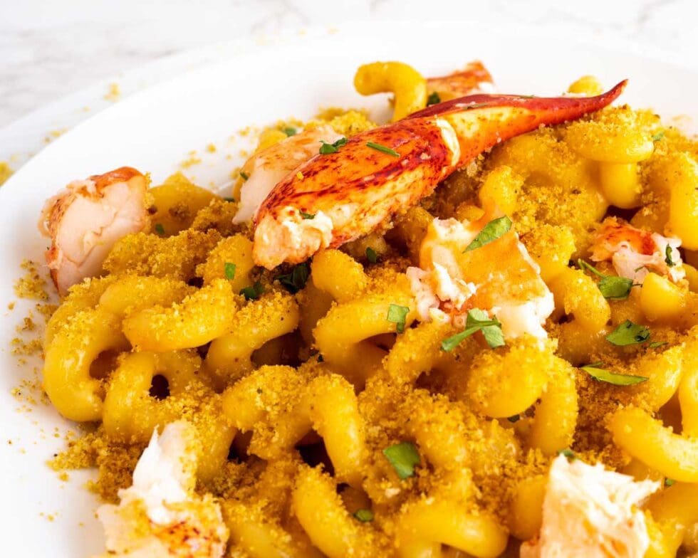maine lobster mac and cheese