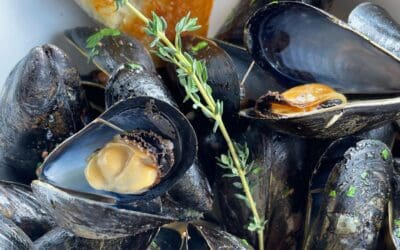 It’s Friday, which means it’s time for WEEKEND SPECIALS: SOUP OF THE DAY pork chili verde PILSNER MUSSELS (pictured) house pilsner • shallots • butter • mussels • add an order of frites for a classic Belgian Moules Frites entree NEW ENGLAND FRIED HADDOCK SAMI line caught haddock filet • NE style fry • lettuce • tomato • pickled ginger tartar • paintedosi bakery bun • side of house cut chips and coleslaw LOBSTER ROLL (pictured) David’s Fish Market caught lobster • light mayo • salt & pepper • celery • brown butter toasted piantadosi bakery brioche bun • served with house cut old bay seasoned potato chips • New Hampshire on a plate! CHICKEN & LOBSTER MARSALA (pictured) nitrate free chicken tenderloin • local lobster claw and tail meat • mushrooms • peppercorn marsala gravy • flat noddles #whymbeer #whym #whymbrewery #whymhampton #seacoasteats #seacoastbrewery #nhbrewery #hamptonnh #craftmenu #craftbeer #craftcocktails #whymcraftpubandbrewery #nhcraftbeer #nhbeer #newenglandcraftbeer #hypebrews #newenglandbeer #liveentertainment #happyhour