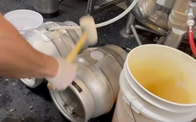 Fresh cask ale coming soon! We’ve just sealed up some casks of your favorite ESB Not Dead Yet along with our beloved Sanford Red ale. The sounds of the hammer and bung mark the beginning of a few weeks of careful conditioning before they reach their prime. Get excited, because there’s nothing quite like the taste of cask ale straight from the beer engine. Stay tuned and keep a close watch for our weekly cask release updates. Cheers to old ways that aren’t dead yet! #CaskAle #RealAle #NotDeadYet #whymbrewery