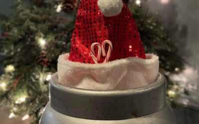 Weekly Cask Update! Join us today for our latest cask unveiling! We’re excited to introduce Hearthstone, our new porter, perfect for warming up your Christmas week. This special edition cask, crafted exclusively for the holiday season, is infused with a blend of festive spices. Be sure to visit us soon – this unique brew is a limited-time offering that’s sure to go quickly! #CaskAle #RealAle #CraftBeer @nhbeertrail”