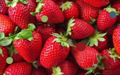 With the warm weather returning, we’re bringing back our most popular cocktail from last summer! Mixed Signals is a delicious drink featuring strawberry infused Gran Centenario Añejo Tequila, St. Germain, lemon juice, and agave nectar. That gets served in a glass rimmed with sour sugar over a large rock of frozen watermelon juice. As that rock melts, the cocktail transforms, making each sip a new experience! Stop on in and see why this cocktail became a must have during the summer of 2023! #Seacoastdrinks