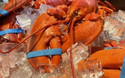 Thanks to these guys, lobster will be back on the specials menu tomorrow! Let us know what kind of lobster special you want to see in the comments. 🦞️ #whymbeer #whym #whymbrewery #whymhampton #seacoasteats #seacoastbrewery #nhbrewery #hamptonnh #craftmenu #craftbeer #craftcocktails #whymcraftpubandbrewery #nhcraftbeer #nhbeer #newenglandcraftbeer #newenglandbeer #liveentertainment #happyhour #eatlocal #lobstah