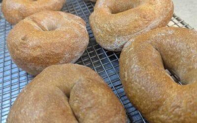 You’ve heard of Bourbon and Beats, now get ready for Bagels and Beats. Stop in today to have one of our fresh baked scratch bagels made by our culinary team member, Steve! We’re serving up breakfast sandwiches and burgers on these delicious treats, or if you want something more classic, you can snag some with good ol’ cream cheese, all while listening to some crisp vinyl beats from across the decades! #sundaysatwhym